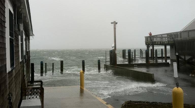 Chatham's fish pier Monday (Rachel Gotbaum/WBUR)
