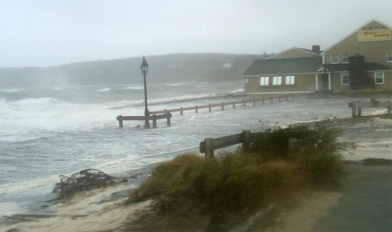 (Courtesy Terence O'Neill) 