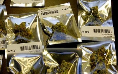 Medical Marijuana In Mass. Poses Federal Challenge