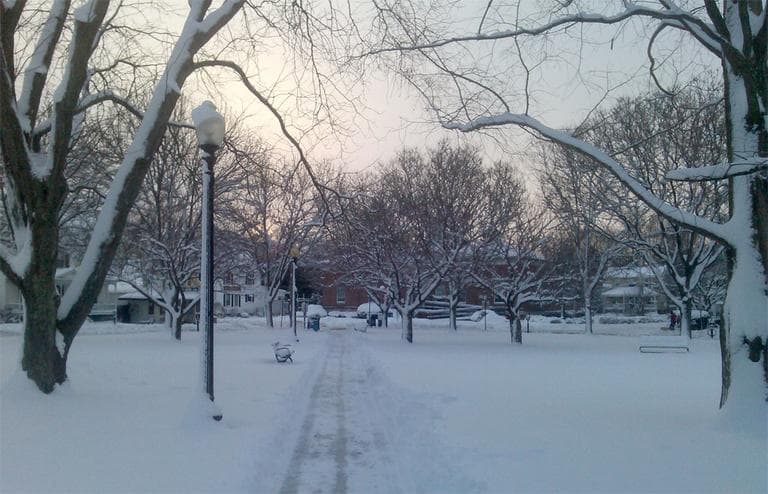 A snow-covered Natick Common on Sunday morning (Alex Ashlock/WBUR)