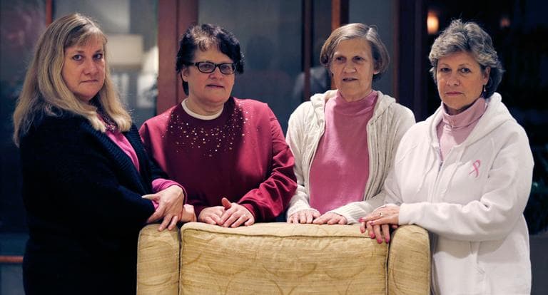 The Melnick sisters, who allege that a synthetic estrogen known as DES caused them all to get breast cancer, pose at a Boston hotel on Monday. From left are Francine Melnick, Andrea Andrews, Donna McNeely and Michele Fecho. (Charles Krupa/AP)