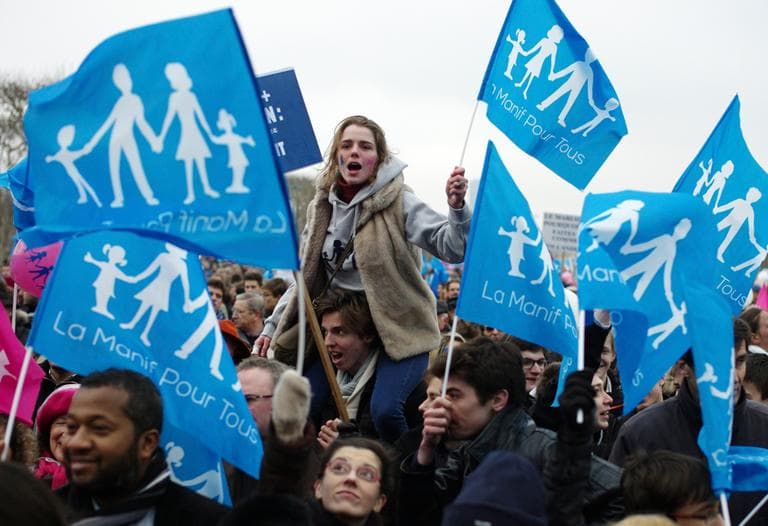 Protestors wave flags during a demonstration in Paris, Sunday, Jan. 13, 2013. Hundreds of thousands of protesters are mobilizing against the French president's plan to legalize gay marriage. (Thibault Camus/AP)