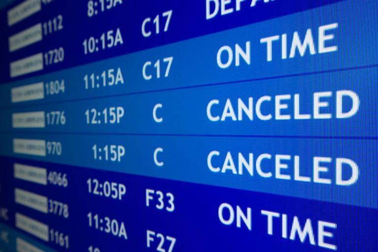 Fights Canceled