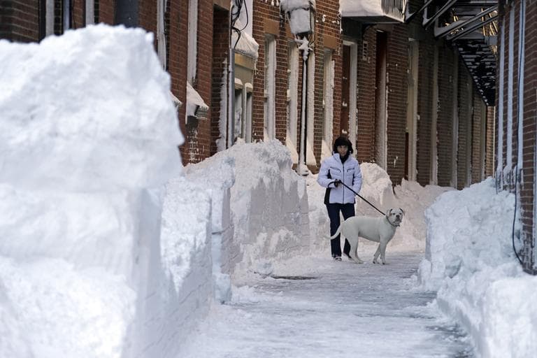 Joan Whiteley and her dog Izzie walk take a walk on Hanover Street in the North End of Boston on Sunday. (Gene J. Puskar/AP)