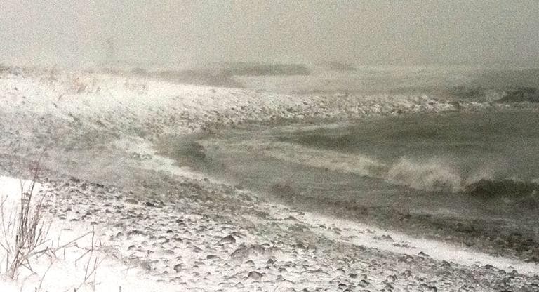 Scituate harbor