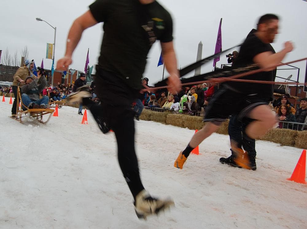 The Uppercut Landscaping human dog sled team. (Greg Cook)