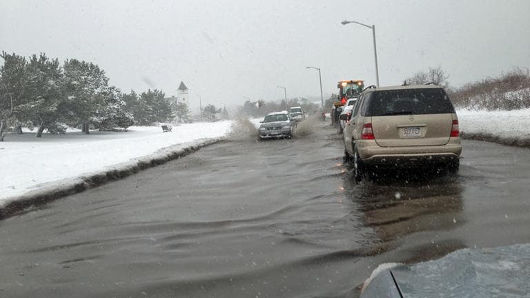 Nahant Road in Nahant floods on Friday morning. (Jesse Costa/WBUR)