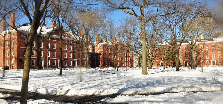 Harvard Yard is pictured in winter 2009. (chensiyuan/Wikimedia Commons)