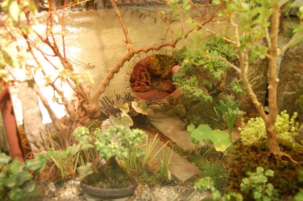 Debi Hogan and Warren Leach of Seekonk produced this live miniature "Classical Chinese Scholar's Garden." (Greg Cook)