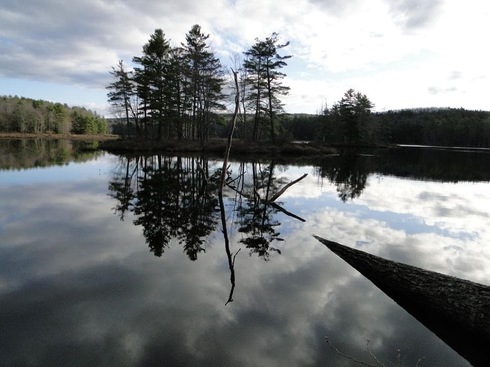 Roberto Mighty's photo "Periscope" from his "First Contact" project. (Courtesy of Mighty)