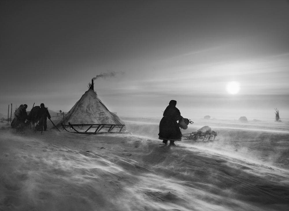 Detail from Sebastiao Salgado's "Genesis" project: "North of the Ob River, about 100 kilometers inside the Yamal peninsula, fierce winds keep even daytime temperatures low. When the weather is particularly hostile, the Nenets and their reindeer may spend several days in the same place, doing repair work on sledges and reindeer skins to keep busy. The deeper they move into the Arctic Circle, the less vegetation is to be found. Inside the Arctic Circle. Yamal peninsula, Siberia. 2011." (Courtesy of Salgado)