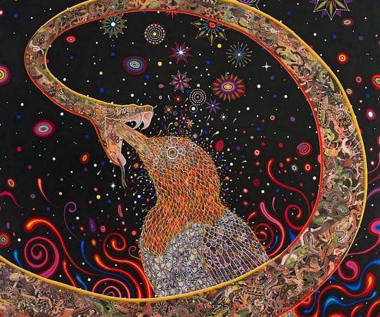 Fred Tomaselli　フレッド・トマセリ Better Living Through Chemistry: Fred Tomaselli's Psychedelic Art