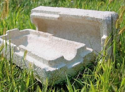 Mushroom-based packaging by Ecovative Design. (ecovativedesign.com)