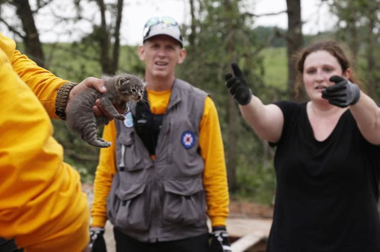 Maeghan Hadley, right, of One Day Ranch pet rescue, reaches for a kitten pulled from underneath the rubble of  Steelman Estates Mobile Home Park near Shawnee, Okla. (Sue Ogrocki/ AP)