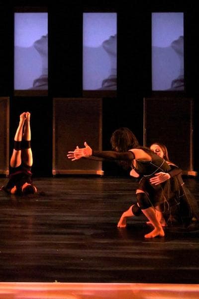 Prometheus Dance. (Donny Zaltzberg)