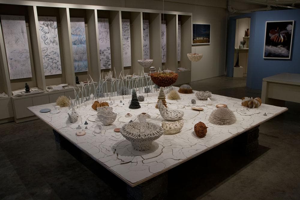 Dorina Molnar's ceramics installation at Vessels Gallery resembles the sea floor. (Courtesy of the gallery)