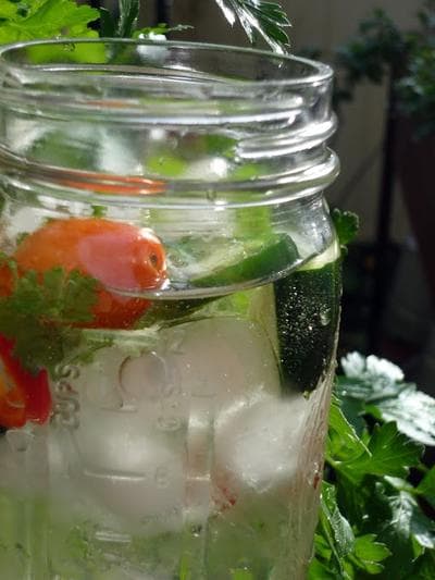 The Mamani Gin & Tonic Cocktail (Amy Stewart)