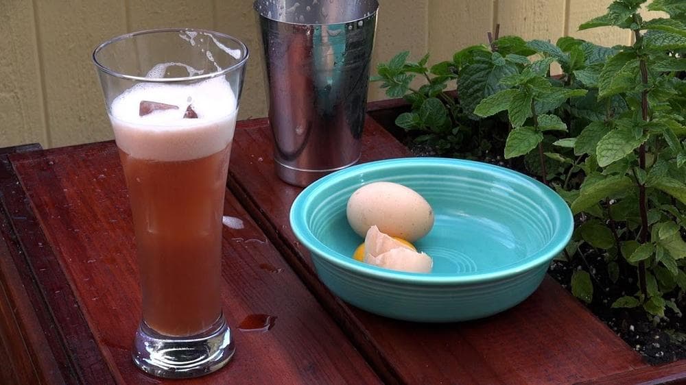 Sloe Gin Fizz (Amy Stewart)