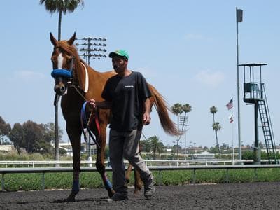 Hollywood Park Readies For Swan Song 