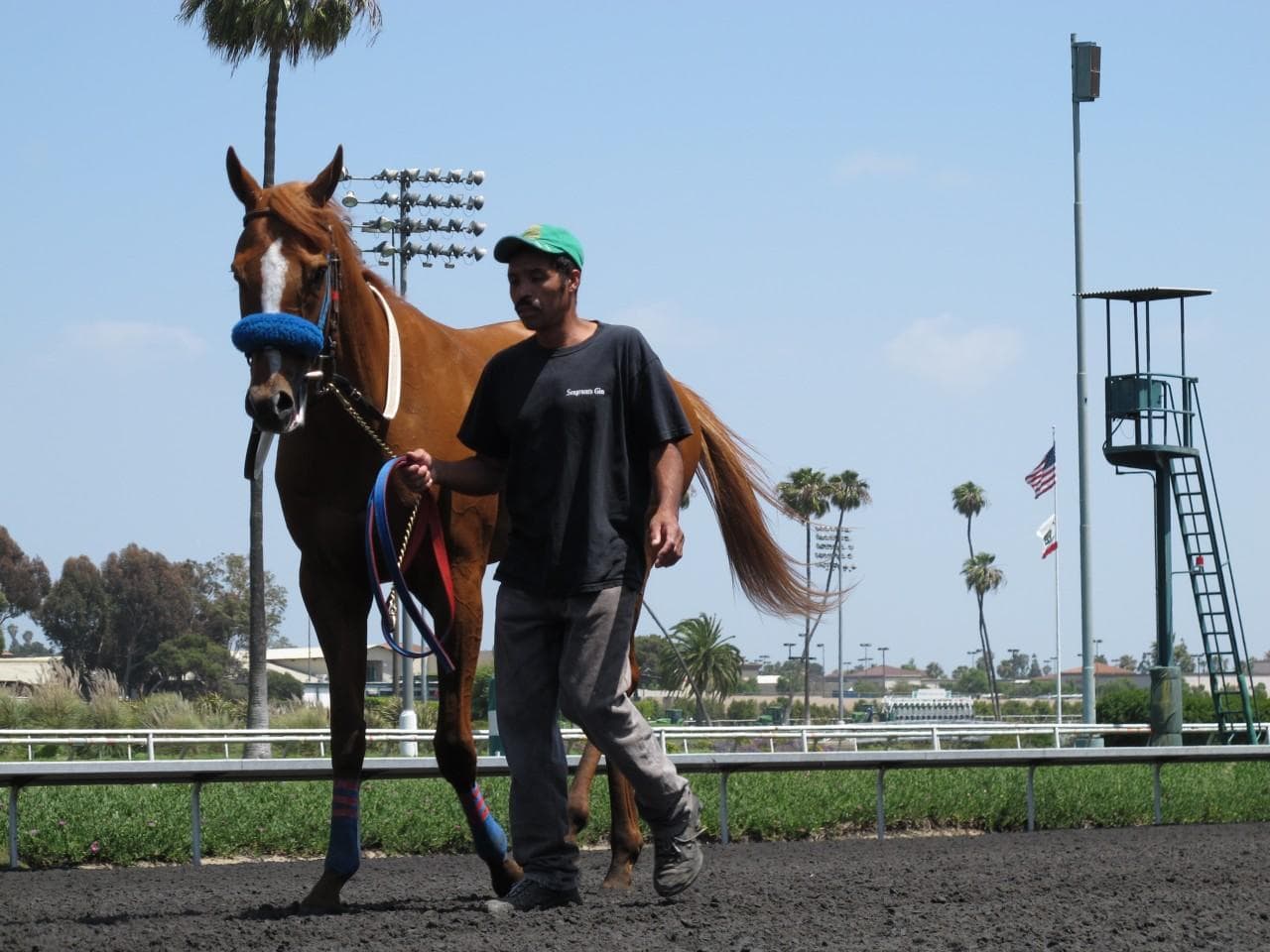 Hollywood Park Readies For Swan Song