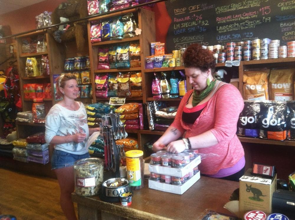 The pet store on Broadway caters to pets in Southie, where dogs now outnumber schoolchildren more than 2-to-1. (Curt Nickisch/WBUR)