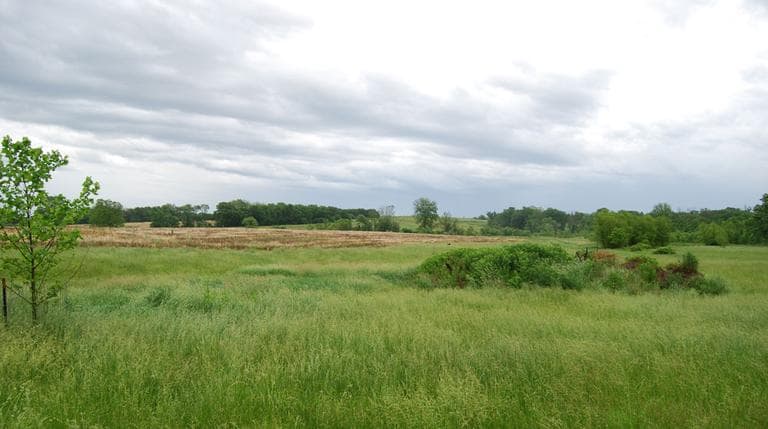 I’m probably doing more than I want to do in terms of farming,” Thomas says. (Abbie Fentress Swanson/Harvest Public Media)