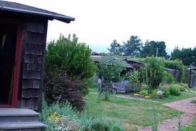 Kahn's garden. (Nicolás Boullosa/Flickr)