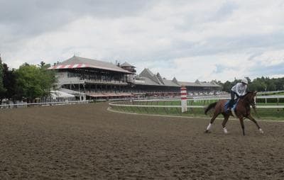 Saratoga Celebrates 150 Years