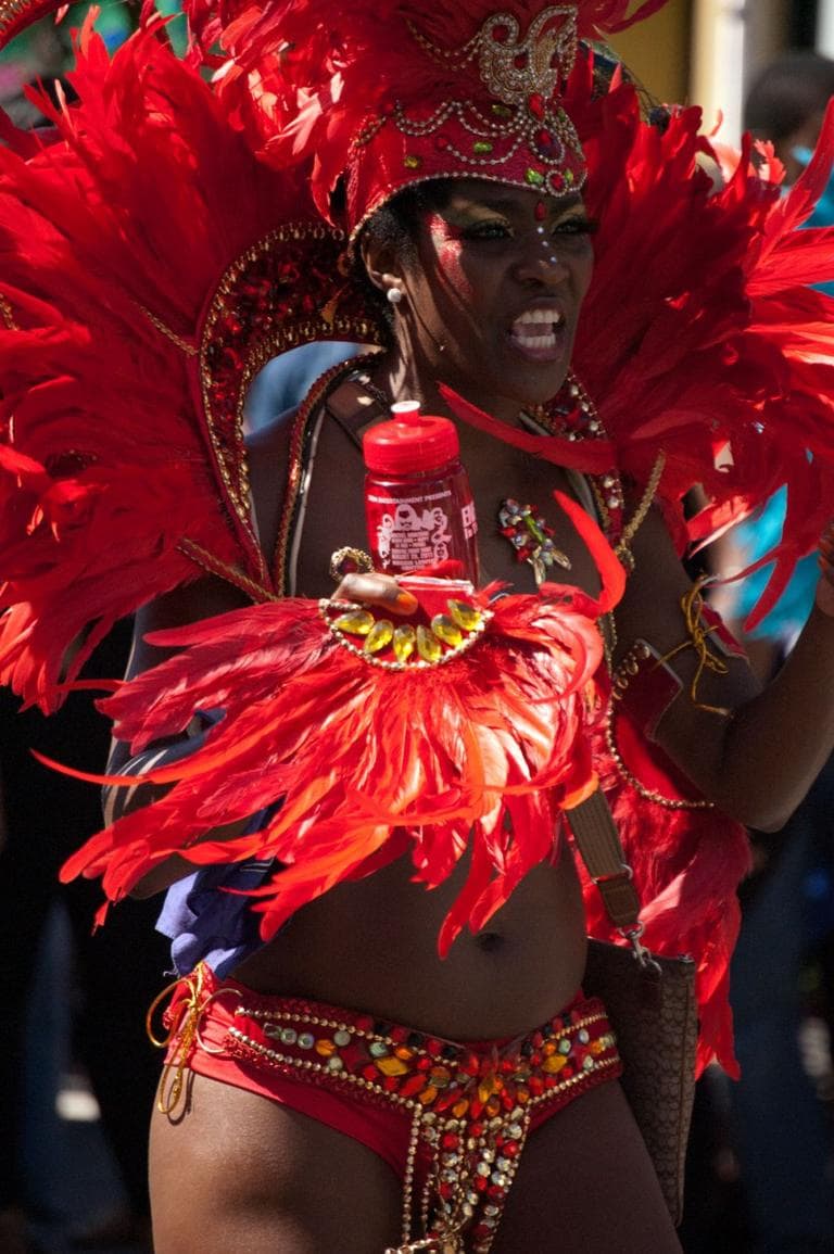Cambridge Carnival International Parade. (Greg Cook)