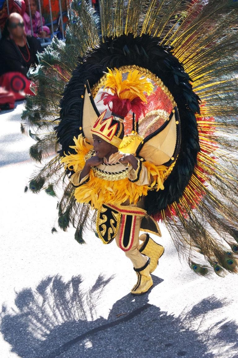 Cambridge Carnival International Parade. (Greg Cook)