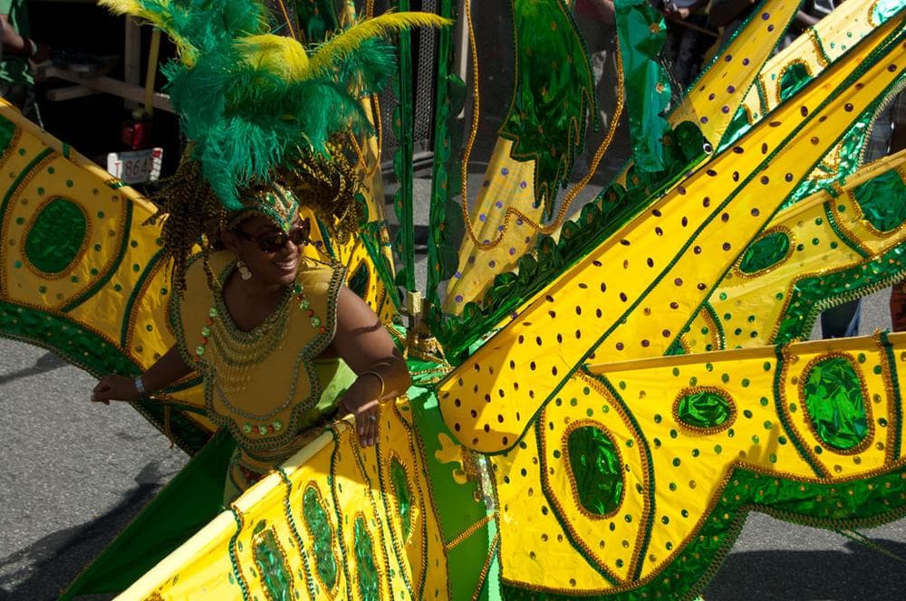 Cambridge Carnival International Parade. (Greg Cook)