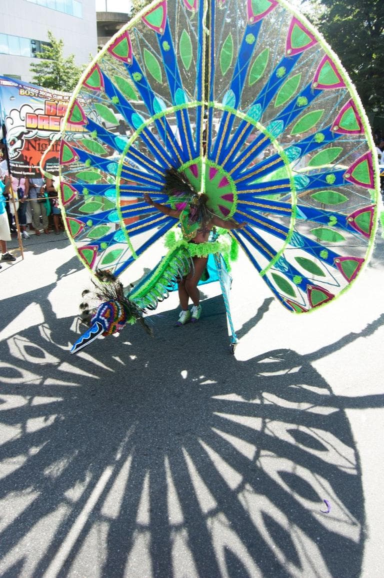 Cambridge Carnival International Parade. (Greg Cook)