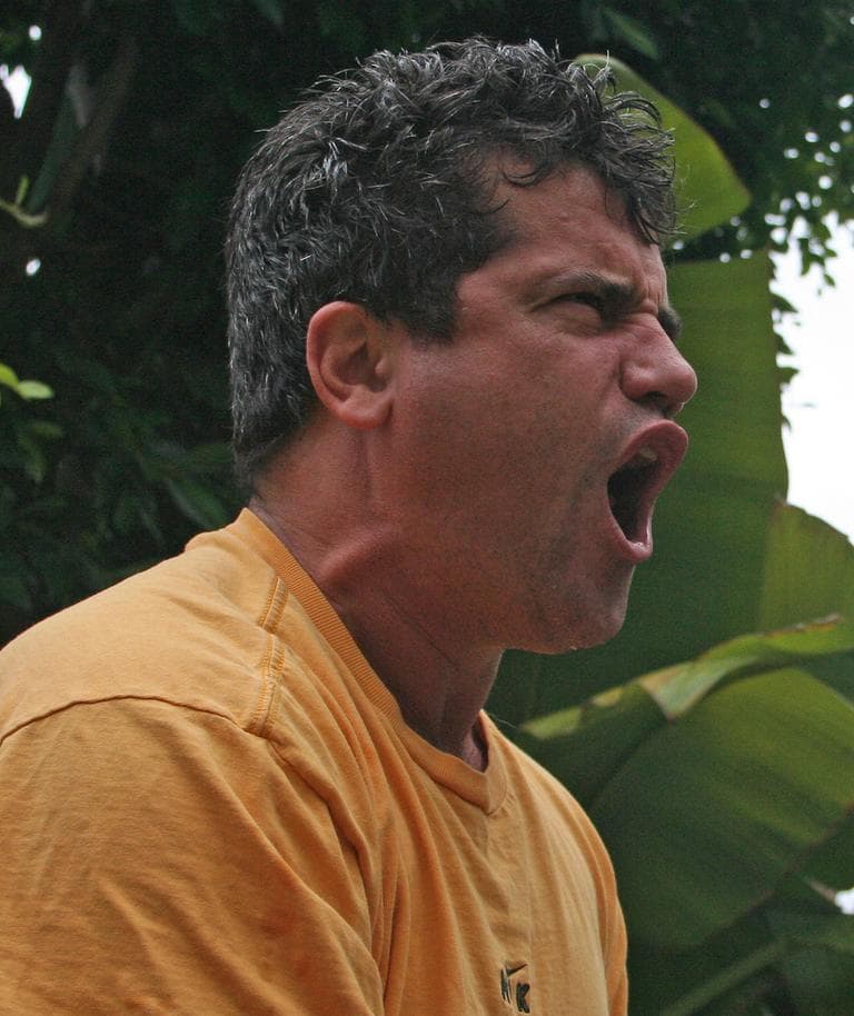 Orange Steeler/flickr