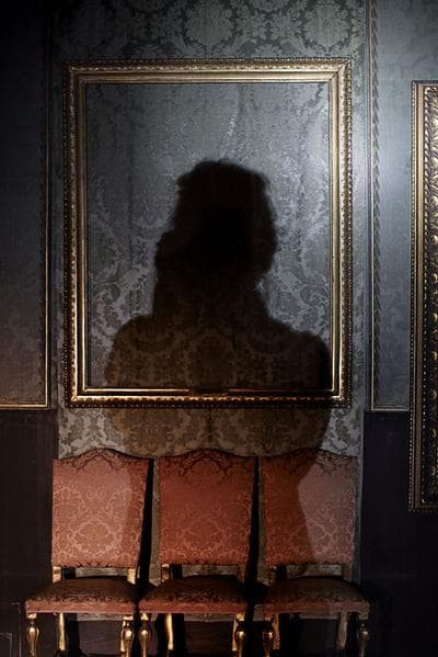 What do you see?” 2013 (Courtesy Isabella Stewart Garnder Museum)