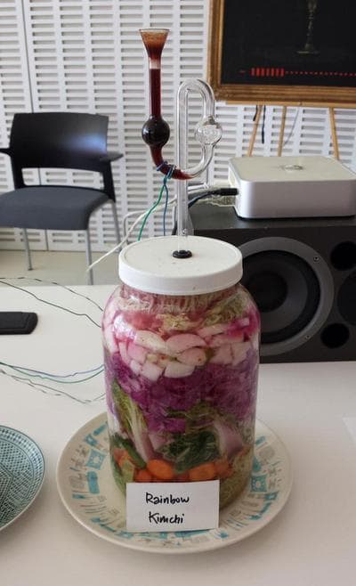 Joshua Rosenstock's "Fermentaphone." (Franklin Einspruch)