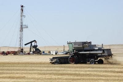 In this Aug. 19, 2008 file photo, a combine cuts durum wheat near an oil well in Tioga, N.D. The federal Agriculture Department has revised its estimates of North Dakota wheat production, though the changes are small. The Agriculture Department in late October 2013 re-contacted farmers who still had crop in the field when surveys were done for the annual late-September small grains summary. North Dakota leads the nation in the production of both spring wheat and durum wheat.  (AP)