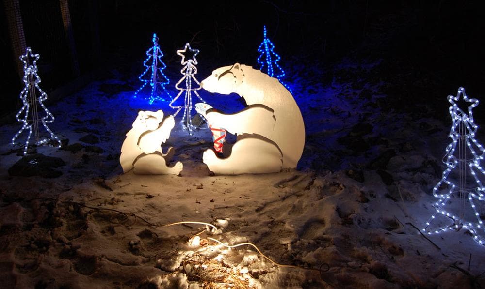 Polar bears at the Stone Zoo's “ZooLights." (Greg Cook)