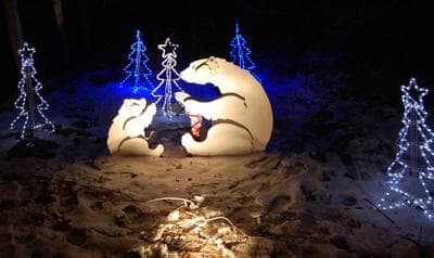 5 things to do this weekend, including a virtual concert and holiday lights at the zoo