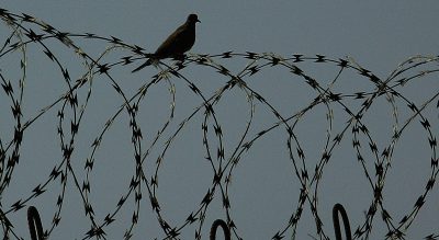 When It Comes To Human Rights, Media Exposure Is A Double Edged Sword