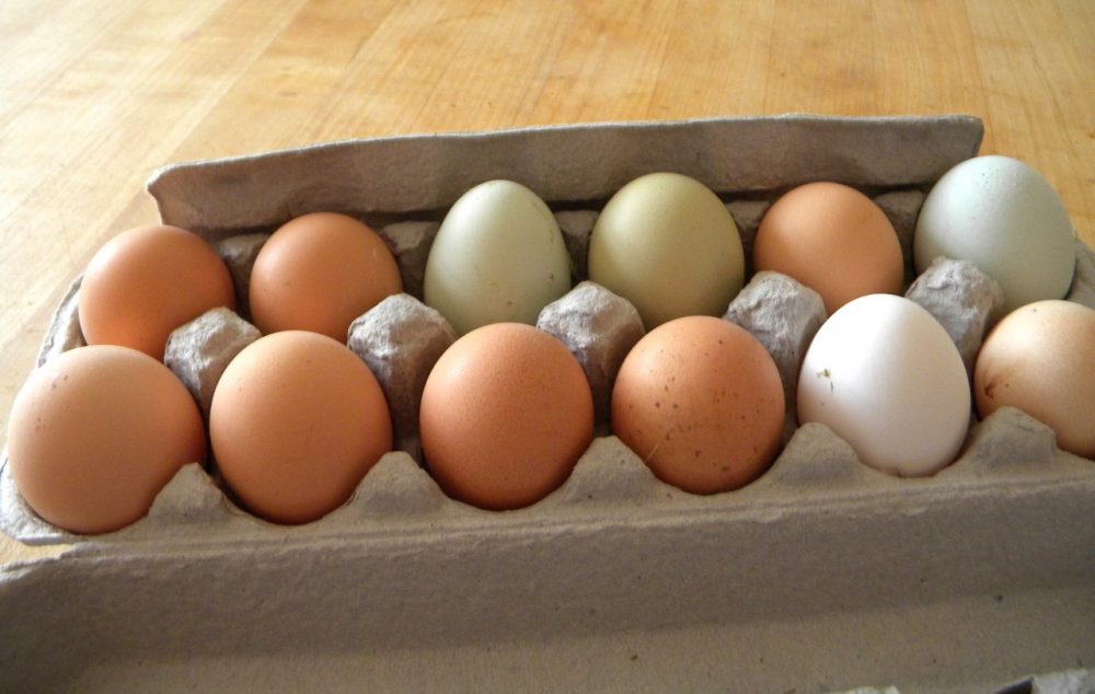 Here &amp; Now resident chef Kathy Gunst loves putting farm fresh eggs on salads and sandwiches. (Kathy Gunst/Here &amp; Now)