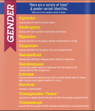 His? Her? They?  Understanding The Latest Gender Identity Language