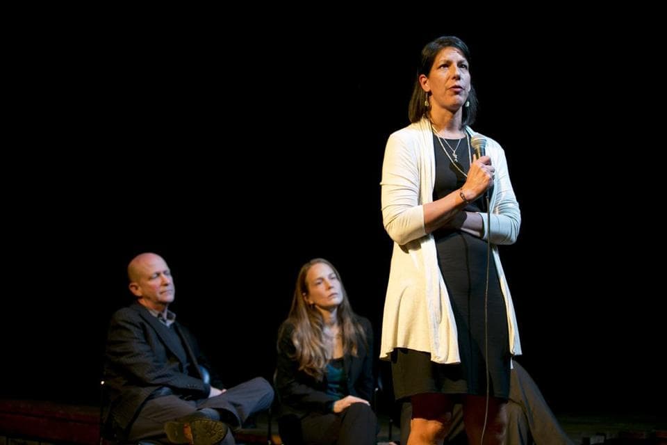 Cliff (Jacob Athyal), Caroline (Paula Plum) and Jay (Bob Mussett) in Stoneham Theatre's production of "Luna Gale." (Nile Hawver/Nile Scott Shots)