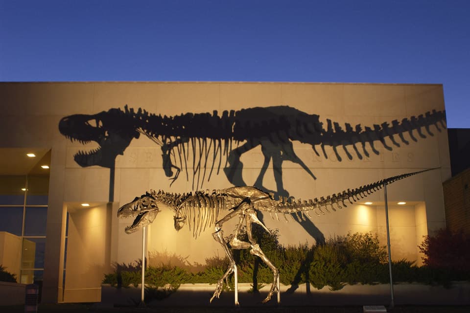 This undated handout photo, taken in 2001, provided by the Museum of the Rockies shows a bronze cast of the Tyrannosaurus rex skeleton known as the Wankel T.rex, in front of the Museum of the Rockies at Montana State University in Bozeman, Mont. (AP)