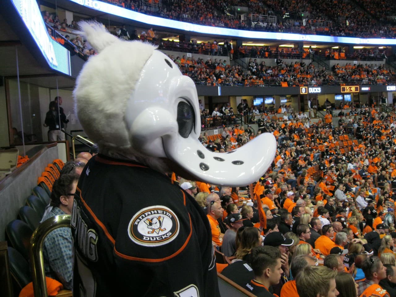 Ducks mascot Wild Wing looks over the crowd. (Susan Valot/Only A Game)