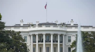 The Polarizing Effects Of... Solar Panels?