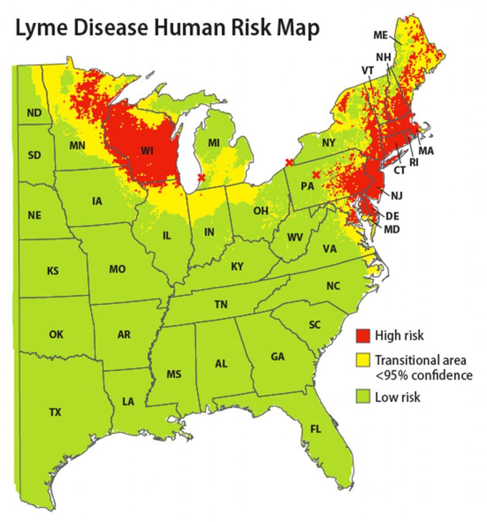 A map released by the Yale School of Public Health which indicates areas of the eastern United States where people have the highest risk of contracting Lyme disease. (Maria Diuk-Wasser/Yale School of Public Health)