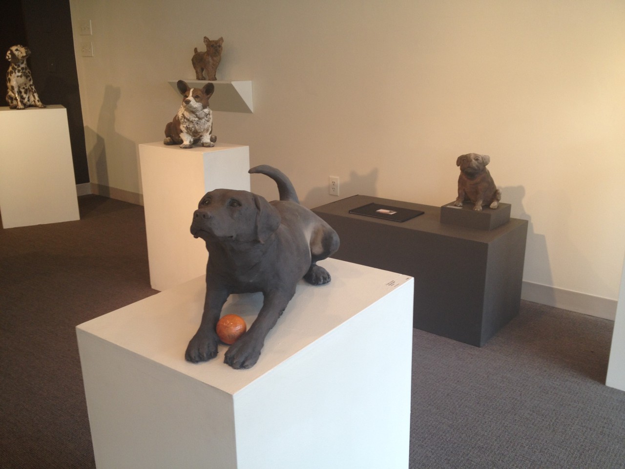 An Exhibit That's Canine Visitors: 'All Dogs' At Concord's Lacoste Gallery | Radio Boston