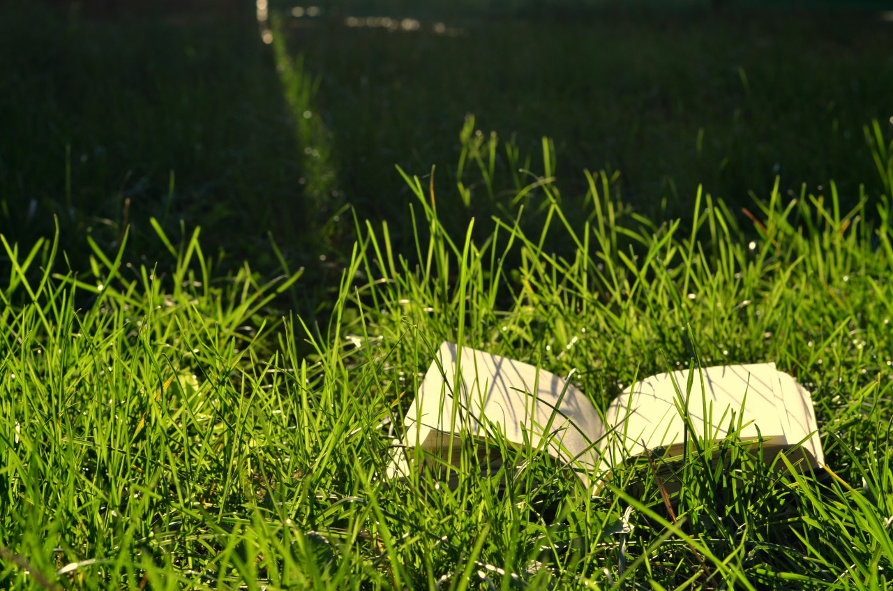 What are you looking forward to reading this summer? (Andrada Radu/Flickr)