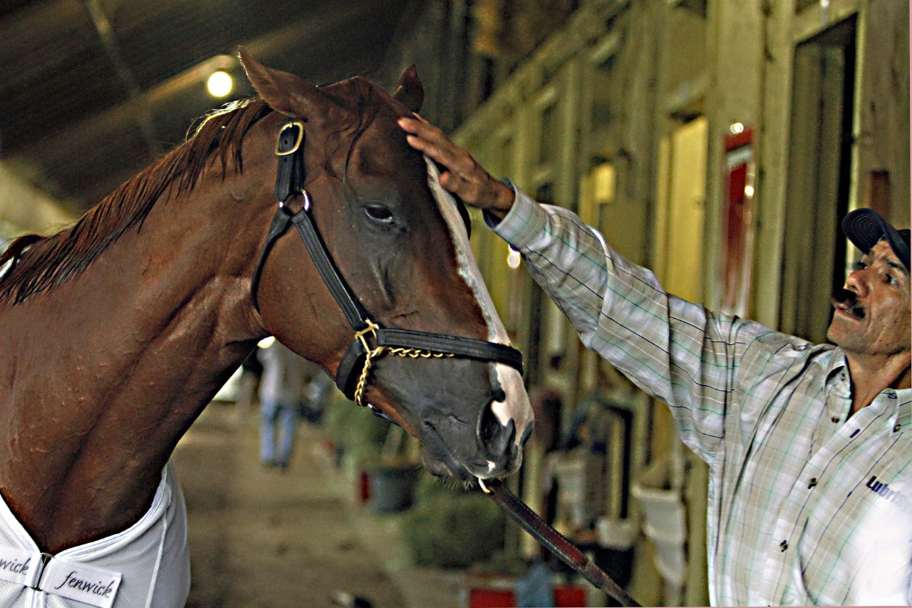 Groom Raul Rodriguez, right, rubs Belmont Stakes hopeful California Chrome in the barn at Belmont Park race track in Elmont, NY., Thursday, June 5, 2014. (AP)