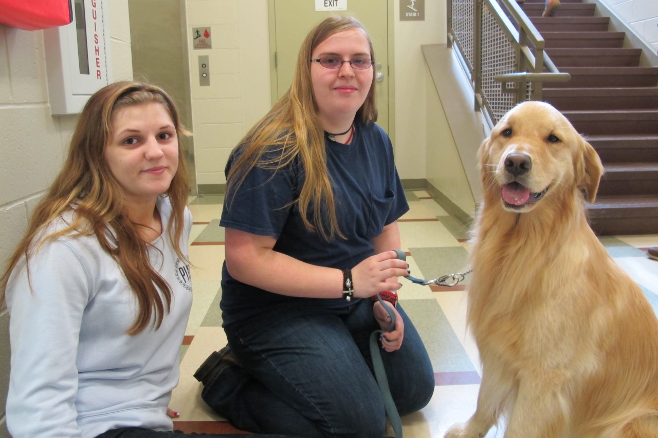 Two Norfolk Aggie students pose with Penny, the golden retriever they use during class. (Emma-Jean Weinstein/WBUR)